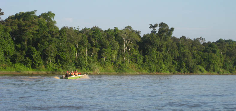 OP de Kinabatanganrivier